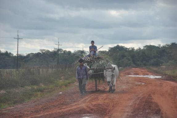 Dividindo a estrada com um legítimo carro de bois, no interior do Paraguai